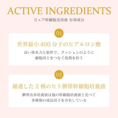 ふるさと納税 掛川市 Steam Secret / ピュア幹細胞美容液　スキンケア　HAAB SKIN　30ml×1個 |  | 02