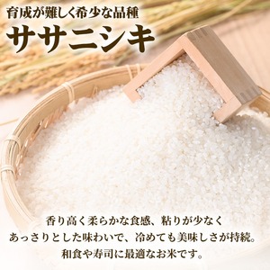 【令和7年産 新米】しばたのササニシキ 精米 10kg 柴田町産 お米 おこめ 米 コメ 白米 ご飯 ごはん おにぎり お弁当 ささにしき【しばたの未来株式会社】sh139