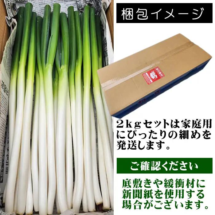 雫石町極楽野 長ねぎ 2kg以上（目安本数：約20本）土なし｜新鮮野菜を産地直送！「高橋農園」