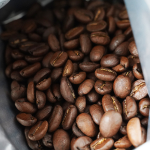 [粉に挽く]スペシャルティコーヒー 旬のシングルオリジン 100g×3種 【kt054-006-2】 ｺｰﾋｰ