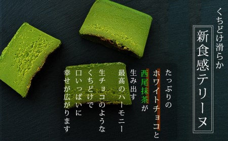 西尾抹茶のテリーヌ　濃厚抹茶スイーツ　テリーヌショコラ(500g)・A165