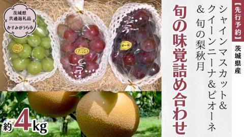 【 2024年先行予約 】 茨城県産【 旬の味覚 】シャインマスカット クイーンニーナ と ピオーネ と 旬 の梨 秋月の詰め合わせ 約4kg (茨城県共通返礼品 かすみがうら市) [DH013sa]