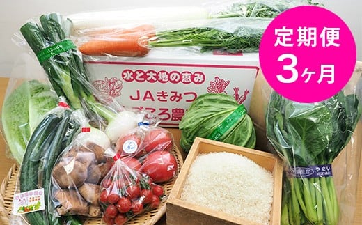 
定期便 JAきみつ 季節の野菜まごころBOX ＆令和6年産 コシヒカリ3kg【月1回・計3回】 人気の直売所 | 野菜 やさい お米 米 コメ こめ こしひかり コシヒカリ 詰合せ セット 定期 定期便 朝採れ 旬野菜 新鮮 オススメ 千葉県 君津市 きみつ
