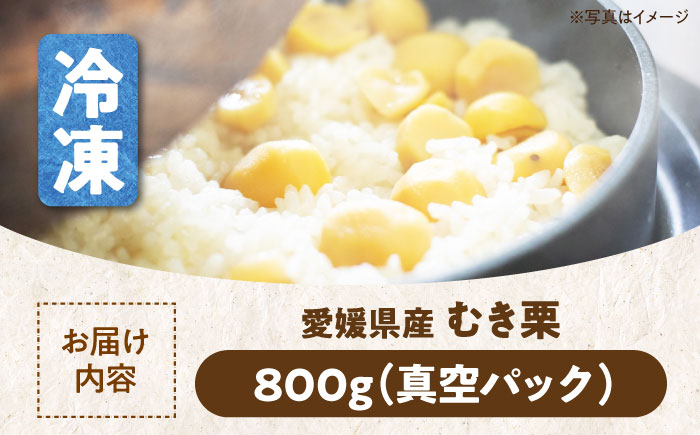 【冷凍】【先行予約】【9月上旬より順次発送】すぐに使えて手間いらず！ほくほく甘い ムキ栗800g（真空パック）　愛媛県大洲市/沢井青果有限会社 [AGBN038]くり クリ モンブラン マロン 秋の味