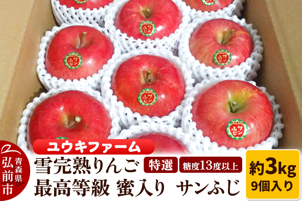 りんご 【 数量限定 】雪完熟りんご 最高等級 蜜入り 糖度13度以上 「特選」 サンふじ 約 3kg 9個入り