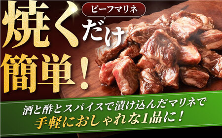 【12回定期便】しろいし牛1頭まるごとセット 大容量 マリネ 焼肉 ハンバーグ【有限会社佐賀セントラル牧場】[IAH223]