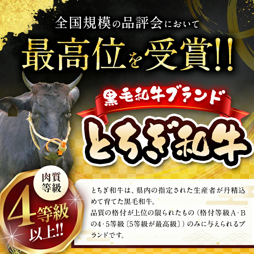 【とちぎ和牛】牛サーロインステーキ200g×4枚[栃木県共通返礼品／栃木県産]｜数量限定 和牛 牛肉 国産牛 ブランド牛 お肉 栃木県 矢板市