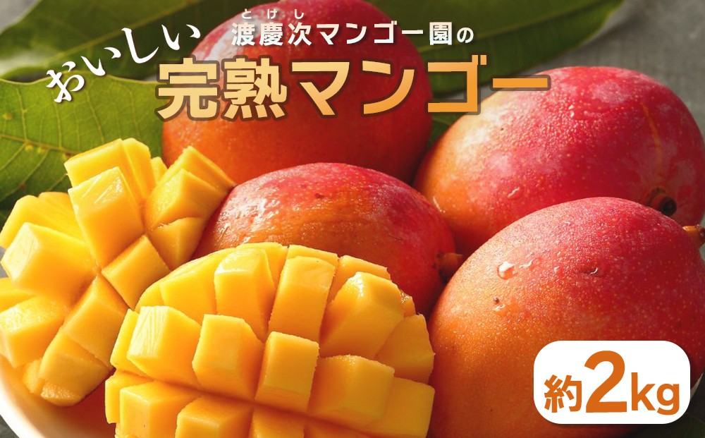 
            渡慶次マンゴー園の完熟マンゴー約2Kg【 先行予約 2026年発送 】
          