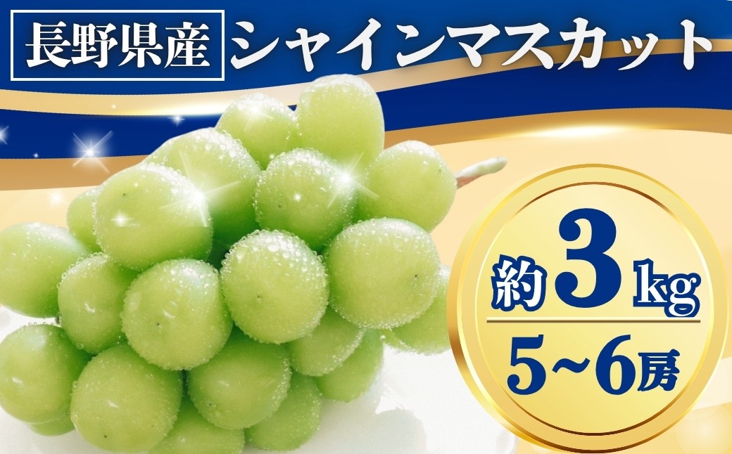 
            【2025年先行予約】シャインマスカット 約3kg(5~6房)｜ 果物 フルーツ 白ぶどう 葡萄 ブドウ 種無し 種なし 皮ごと 千曲市 長野県 信州
          
