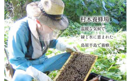 ※廃番※BH071 国産はちみつ 500g（百花蜜） [ 国産 甘い はちみつ 蜂蜜 村木養蜂場 長崎県 島原市 ]