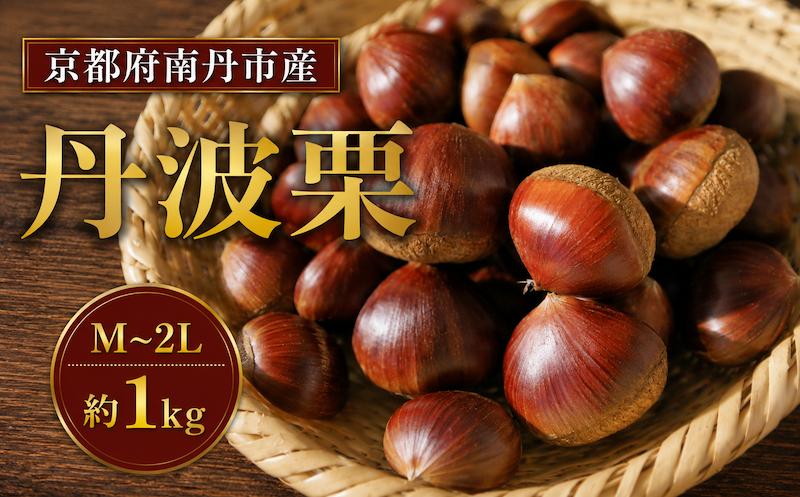 
                  【期間限定】 丹波栗 1kg M~2Lサイズ混合 (10月以降順次発送) 丹波くり 栗 くり 無消毒 国産 大粒 スイーツ 果物 フルーツ 秋 旬 丹波くり 生栗 和栗 秋の味覚 マロン 丹波栗 生くり 甘栗 焼き栗 ゆでぐり ブランド 先行受付 先行予約 数量限定 令和8年度産 R8年度産 丹波地域 南丹市 京都府 京都 
                
