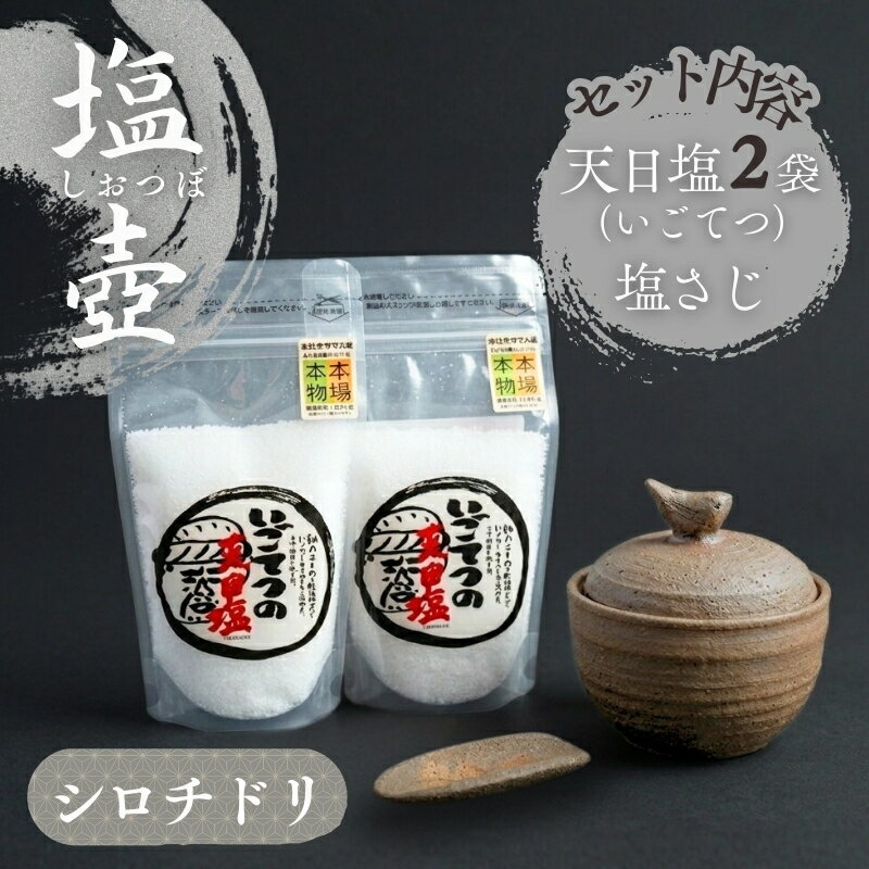 【ふるさと納税】 シロチドリ の 塩壷 塩さじ 天日塩 2袋 付き 日常屋 食器 さじ 調味料入れ ツボ つぼ 壷 塩 セット 調味料 保存容器 陶器 高知県 高知県 黒潮町