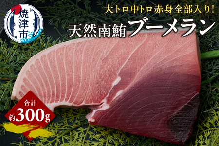 a11-158　天然 南マグロ ブーメラン 約300g