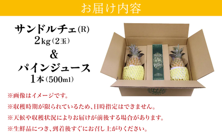 熟鮮サンドルチェ(R)2㎏（2玉）と甘さをぎゅっと詰め込んだ100％パイナップルジュース1本　パイン　果物　フルーツ