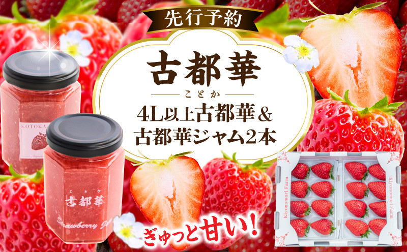 
                  【2027年2月～3月発送】完熟「古都華」奈良ブランドいちご4L以上2パック＆古都華ジャム2個　先行予約 ことか 甘い 糖度 濃い 濃厚 果汁 朝摘み いちご イチゴ 苺 ジャム フルーツ 果物 果物 ご褒美 ごほうび 贈答 贈り物 ギフト プレゼント 冷蔵 奈良県 生駒市 送料無料
                