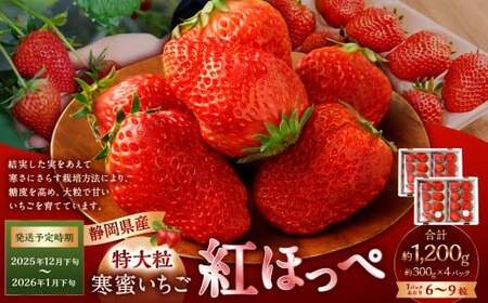 寒蜜いちご 紅ほっぺ 特大粒 4パック（約300g×4パック） 【2025年12月下旬-2026年1月下旬発送予定】【配送不可：北海道・沖縄・離島】 ｜いちご 苺 紅ほっぺ 果物 くだもの フルーツ 菊川市 