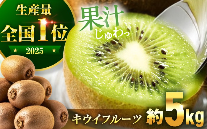 
                  キウイフルーツ【11月上旬から順次発送】 国産 キウイ 約 5kg 果物 きうい 愛媛県大洲市/沢井青果[AGBN002] フルーツ 愛媛県産 人気 お取り寄せ ギフト
                