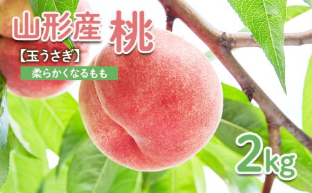～私のおススメ～山形産 もも 2kg【玉うさぎ】 【令和7年産先行予約】FU22-021 くだもの 果物 フルーツ 山形 山形県 山形市 2025年産