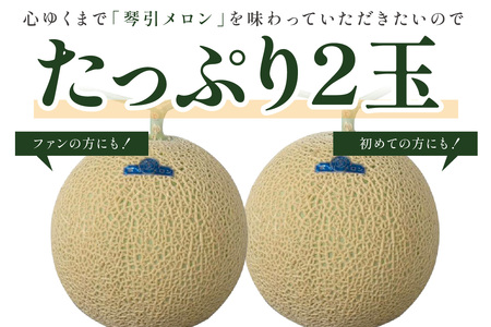 【先行予約】京たんごメロン 琴引メロン 3Lサイズ 2玉（2026年6月下旬～発送）