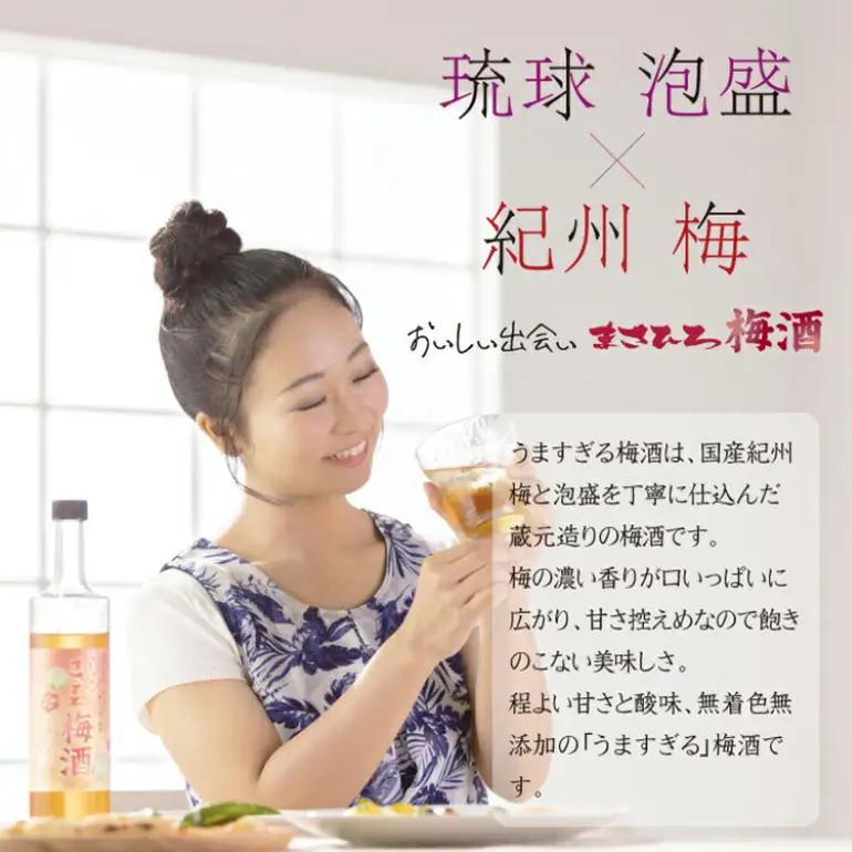 梅酒 6本 セット ( 600ml x6)  まさひろ酒造 まさひろ 