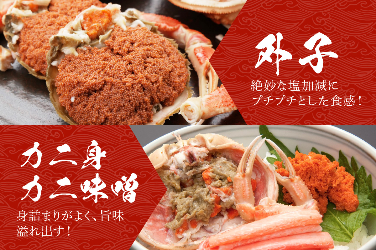 【期間エリア限定！】厳選！絶品！ 釜茹で セイコ蟹15杯 海鮮 かに カニ 蟹 セイコ蟹 セコガニ せこ蟹 ズワイガニ ズワイ蟹 コッペ ボイル 海産物 魚介類 ふるさと納税 カニ ふるさと納税 セイ