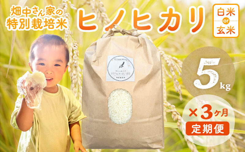 【3回定期便】減農薬 特別栽培米 畑中さん ひのひかり 玄米 5kg ヒノヒカリ 奈良県