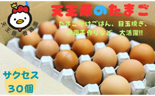 【天王原のたまご】サクセス卵30個入り