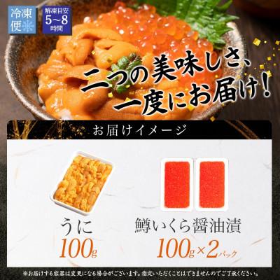 ふるさと納税 弟子屈町 【のし付】雲丹 100g 鱒いくら 100g×2個  うに チリ産 北海道 弟子屈町 2499 |  | 03