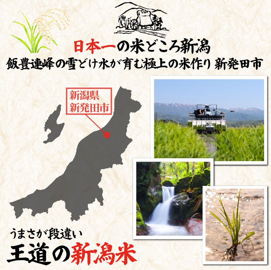 先行予約 こしひかり 無洗米 5kg 令和7年産 甘うま越後の コシヒカリ 米 お米 こめ 新潟米 新潟県産 新潟産 新潟 新潟県 新発田産 新発田 新発田市 斗伸 toushin003_02