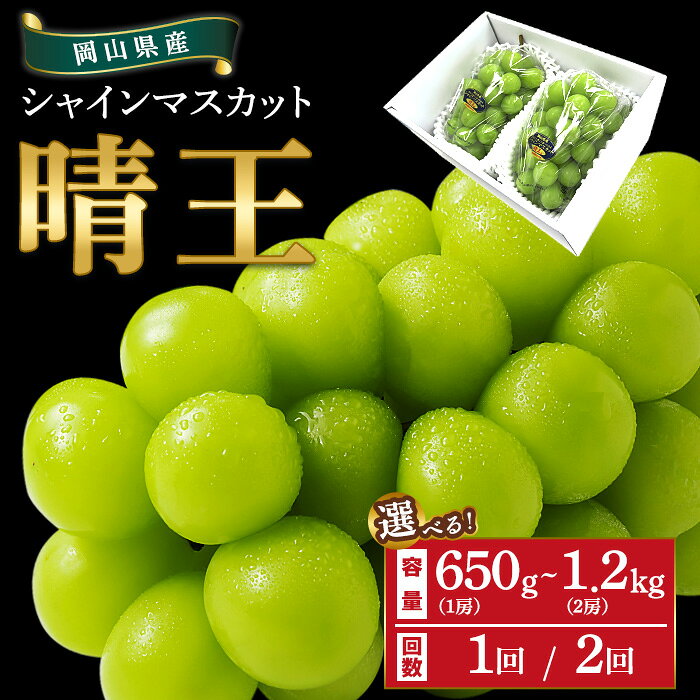 2023年発送 岡山県産シャインマスカット晴王 1.3kg以上(2房) 糖度18度以上