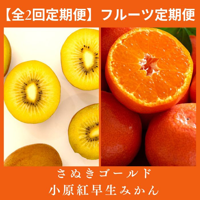 
                  【全2回フルーツ定期便】さぬき讃フルーツ　さぬきゴールドと小原紅早生みかん【C-24】
                