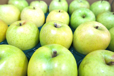 【26年2月発送】りんご 平均糖度13度以上！ 王林 約5kg 訳あり 青森 果物 フルーツ 林檎 リンゴ くだもの 不揃い 規格外