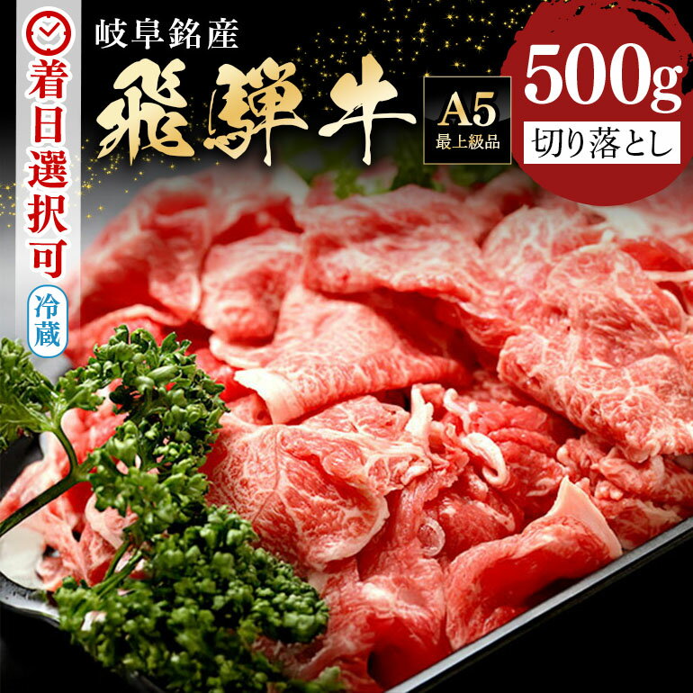 【ふるさと納税】 飛騨牛 切り落とし (500g) 冷蔵 A5 黒毛和牛 和牛 牛肉 肉 肉炒め 野菜炒め 牛丼 肉じゃが ハッシュドビーフ お中元 残暑見舞い プレゼント ギフト 贈り物 日付指定 時間指定 462 送料無料