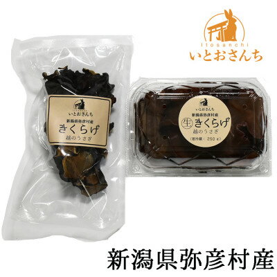 【ふるさと納税】新潟県弥彦村産　越のうさぎ 　生きくらげ250g、乾燥きくらげ25g　詰め合わせセット_＜栽培期間中農薬不使用＞手のひらサイズ 大きい 肉厚食感 プリプリ きくらげ 木耳 キクラゲ きのこ キノコ 歯ごたえ 新潟県 弥彦村【配送不可地域：離島】【1354239】