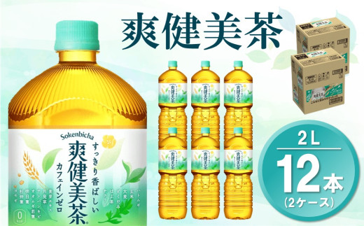 爽健美茶 2LPET (2ケース) 計12本【コカコーラ カフェインゼロ 香ばしい おいしい ブレンド茶 お茶 国産 ハトムギ 玄米 大麦 ドクダミ ハブ茶 チコリー 麦芽 植物素材 飲料 お徳用 ペットボトル】K090104