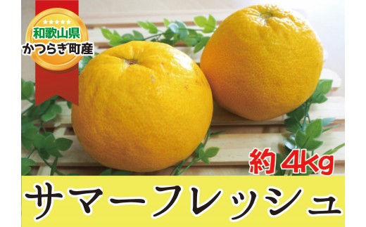 【訳あり・ご家庭用】爽やか〇サマーフレッシュ〇 約4kg 【5月初旬頃から5月下旬ごろ発送予定】 柑橘 フルーツ 果物 【A254-frks147】