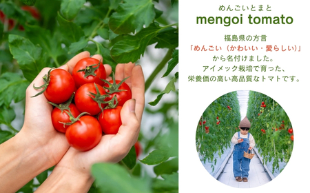 先行予約【訳あり】ミニトマト TYレッドオーレ 1kg 冬トマト 福島県 田村市