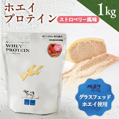 【ふるさと納税】プロテイン100　ワイルドフィット　ストロベリー風味【1582770】