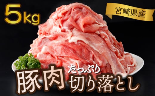 ＜2025年12月発送分＞宮崎県産 豚肉切り落とし 250g×20パック 合計5kg