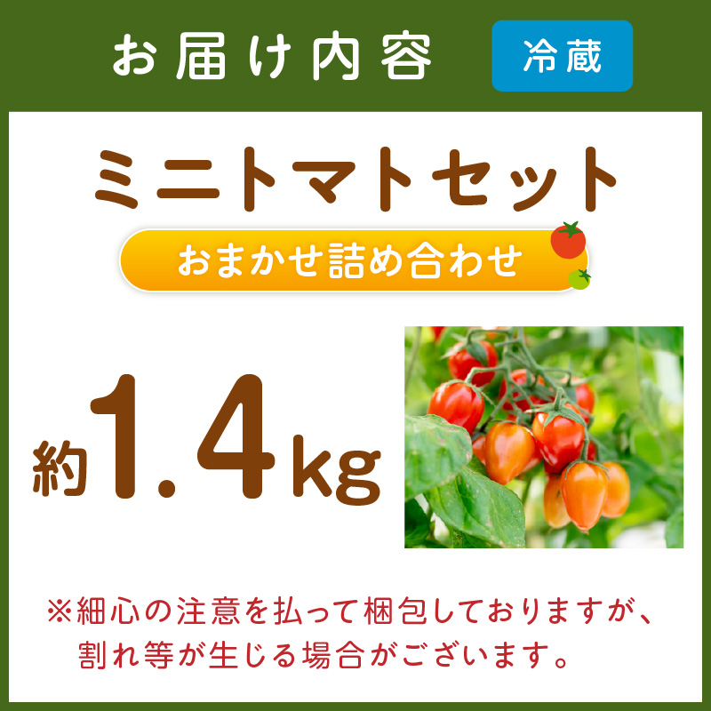ミニトマトセット（おまかせ詰め合わせ）約1.4kg《先行予約》【1228-1】