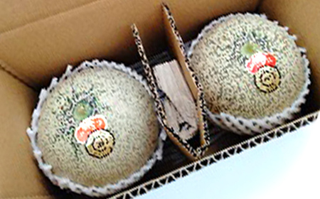 【2026年度 先行予約】涼風フルーツ定期便 全4回 さくらんぼ メロン 桃 シャインマスカット 果物 フルーツ FSY-2069