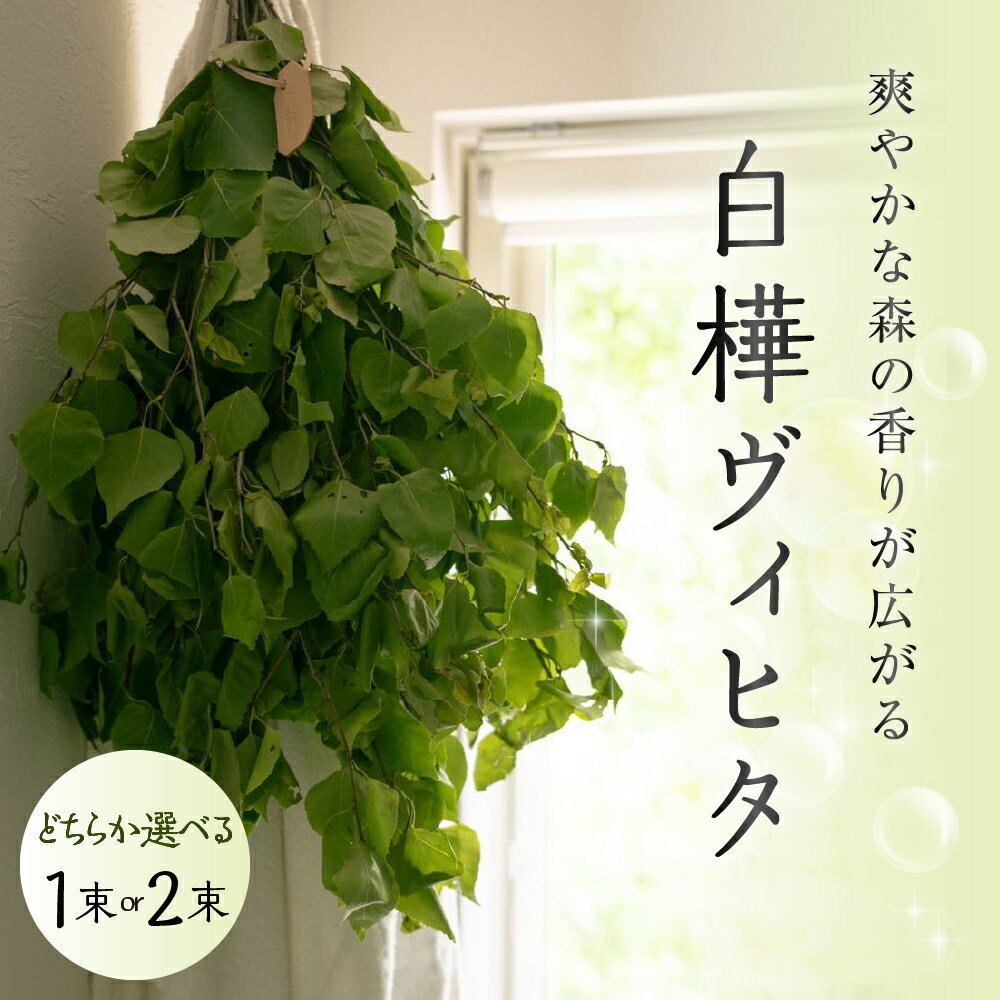 【ふるさと納税】【先行受付】北海道芽室町産「白樺ヴィヒタ」選べる（1束／2束） 1束20本前後 サウナグッズ バスグッズ ビヒタ 健康 森林浴 インテリア スワッグ 装飾 送料無料 北海道 十勝 芽室町