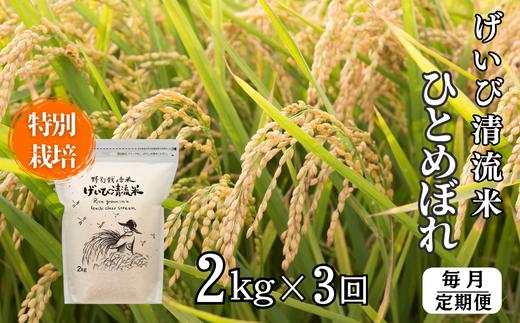 
            【定期便/3ヵ月】令和6年産 特別栽培 ひとめぼれ 2kg 清流が育んだお米 げいび清流米
          