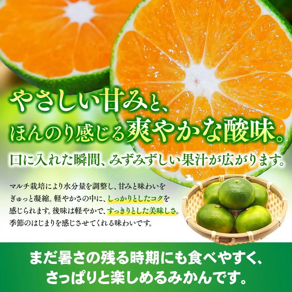 みかん みえ紀南一号 超極早生みかん 約5kg【mntf0001】