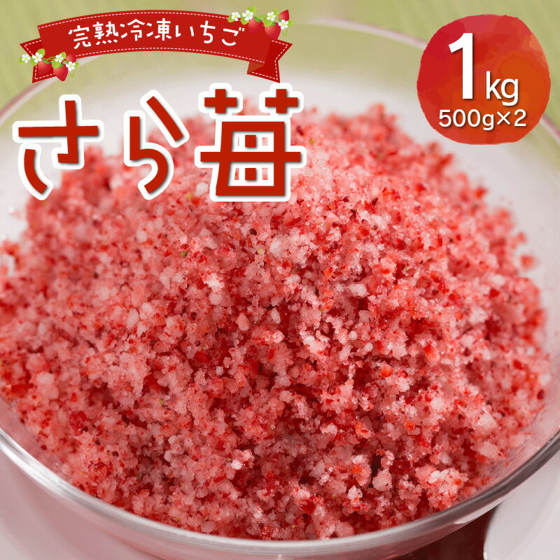 【ふるさと納税】完熟 冷凍 いちご さら苺 1kg 500g × 2パック 国産 さちのか 急速冷凍 フローズン パウダー状 スイーツ ストロベリー お取り寄せ おすそ分け 手土産 お土産 ギフト 熨斗対応可 果物 フルーツ 熊本県宇土産 園村苺園 送料無料 【熊本県宇土市