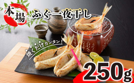 ふぐ 国産 一夜 干し 250g おつまみ ギフト