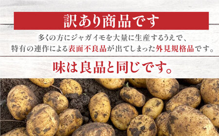 【数量限定】【訳あり】有機ジャガイモ 規格外品じゃがいも 5kg 熊本県産じゃがいも ジャガイモ 山都町産有機ジャガイモ じゃがいも 産地直送 高原野菜 新鮮有機野菜 九州産有機野菜 有機野菜 オーガ