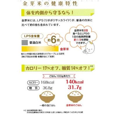ふるさと納税 安来市 BG無洗米　金芽米にこまる5kg |  | 03