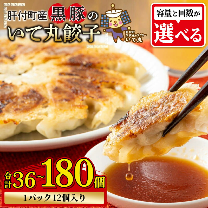 【ふるさと納税】鹿児島県 肝付町産 黒豚 餃子 ギョーザ ＜1パック 12個入り＞ (合計36個 ～ 合計180個) ぎょうざ たれ付き パリパリ もちもち ジューシー おかず お弁当 冷凍食品 時短 小分け 加工品 冷凍 定期便 豚肉 国産 【財宝】