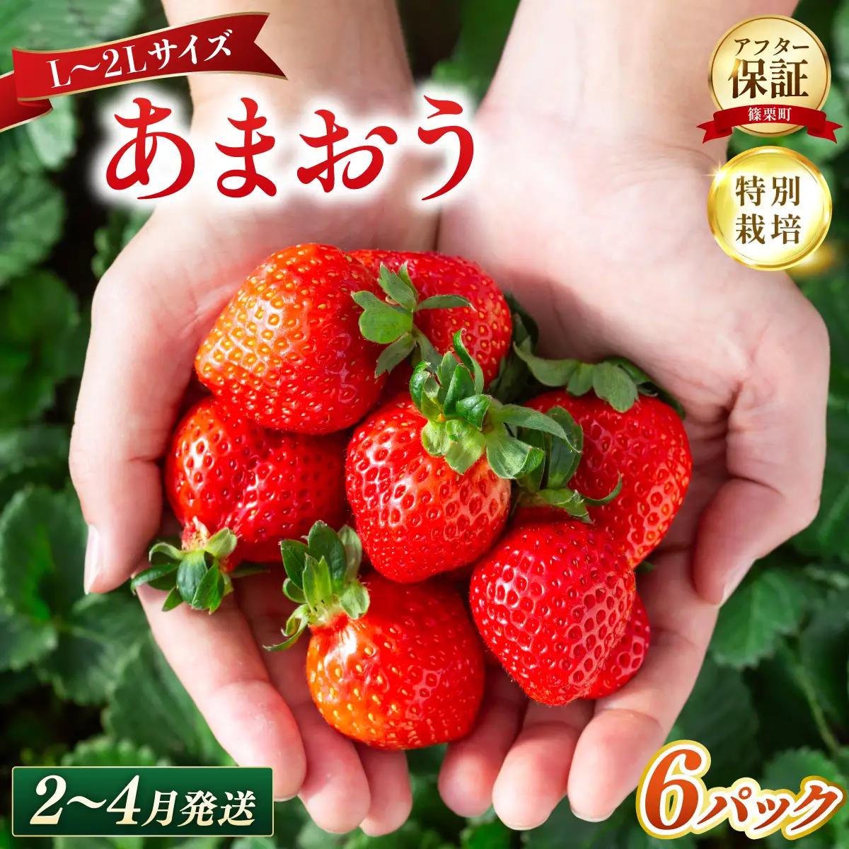 いちご 福岡県産 特別栽培 あまおう L~2Lサイズ（少し小ぶりサイズ）約1710g（約285g×6パック）【2～4月発送】